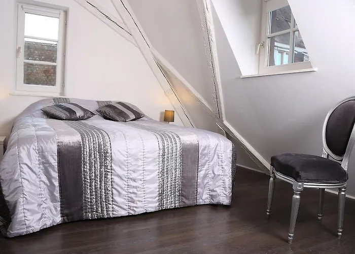 Appartement My Sweet Homes - La Grenouillere Hypercentre Colmar