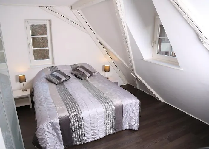 Appartement My Sweet Homes - La Grenouillere Hypercentre